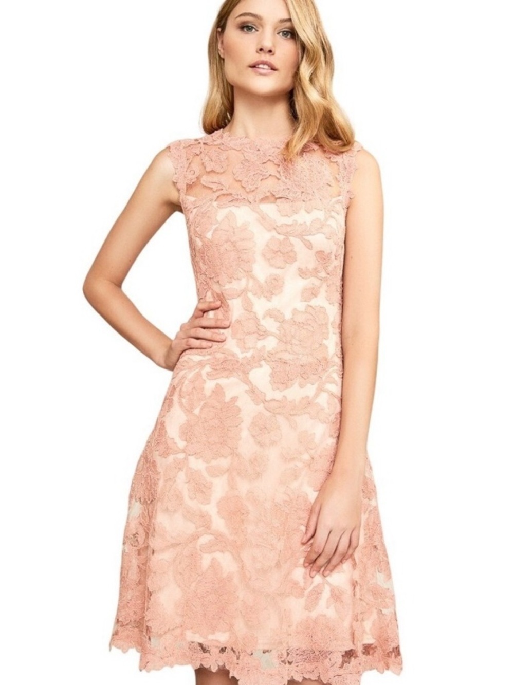 TADASHI SHOJI Tamura Pink Embroidered Lace Fit Flare Midi Dress 12 Floral Party - Picture 2 of 13
